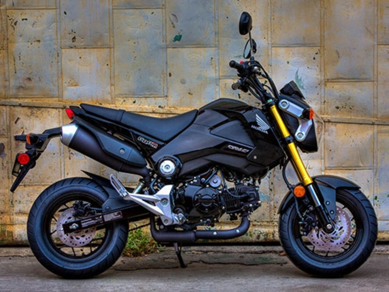 Honda Grom Motorcycles For Sale In Lake City Near Gainesville Florida Interstate Cycles