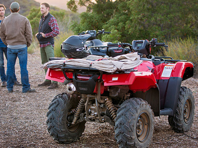 Honda® FourTrax® Foreman® Rubicon ATVs | Interstate Cycles near Gainesville, Florida
